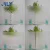 Jily Customized Design Tempered Decorative Patterned Glass