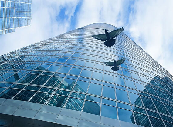Bird-friendly-glass